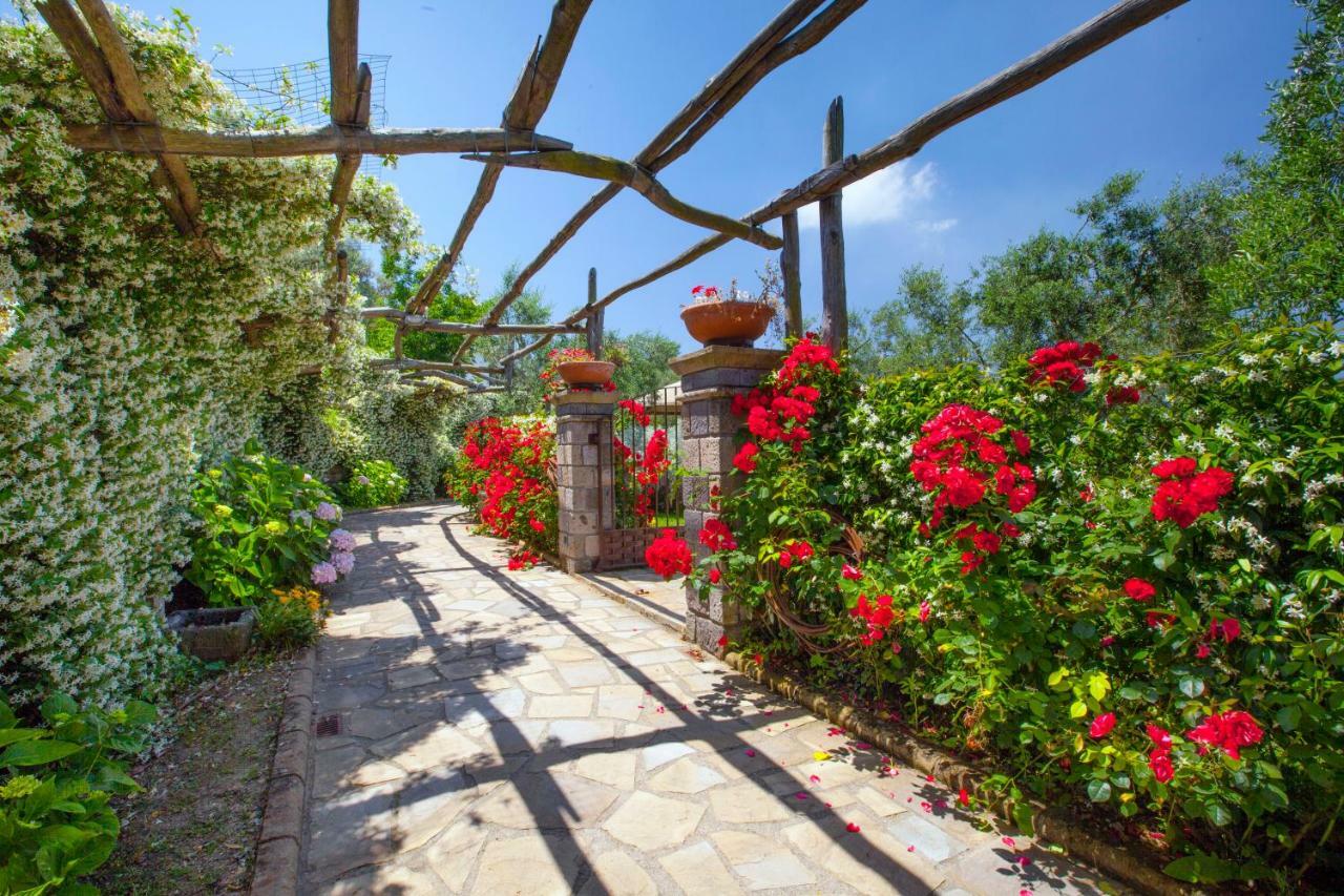 Montebosco Luxury Country House Piano di Sorrento Exterior photo